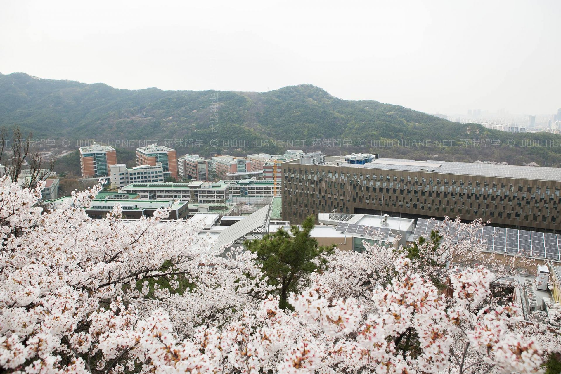 首爾國立大學(xué)