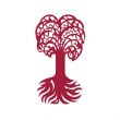 蒂賓根大學